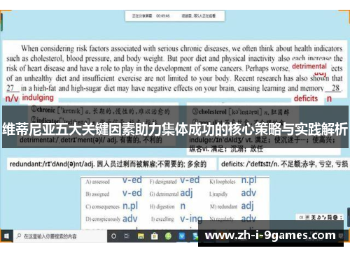 维蒂尼亚五大关键因素助力集体成功的核心策略与实践解析